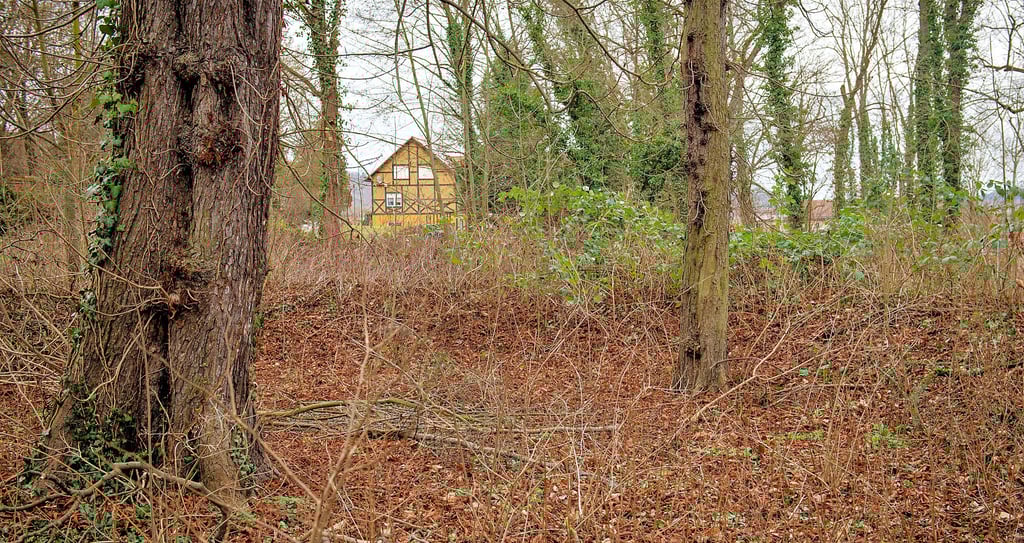 Verwildert: Der Gutspark in Eulau zeigt sich seit Jahren in einem ungepflegten Zustand.