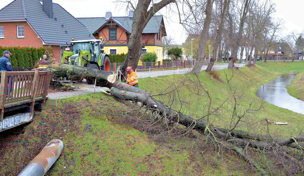 Nach einer Bestandsaufnahme begannen die Aufräumarbeiten in Seehausen am Köppenberg. Dort zerlegten die Stadtarbeiter Montag die erste Sturm-Linde für die Brennholzverwertung. Weil eine Handlaufkette an der Brücke befestigt war, auf die der Baum fiel, wurde auch die Grabenquerung in Mitleidenschaft gezogen.