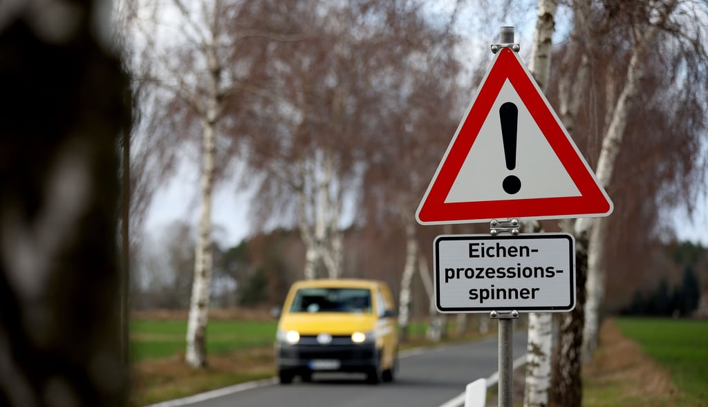 Ein Verkehrsschild weist an einer Landstraße auf den Eichenprozessionsspinner hin.