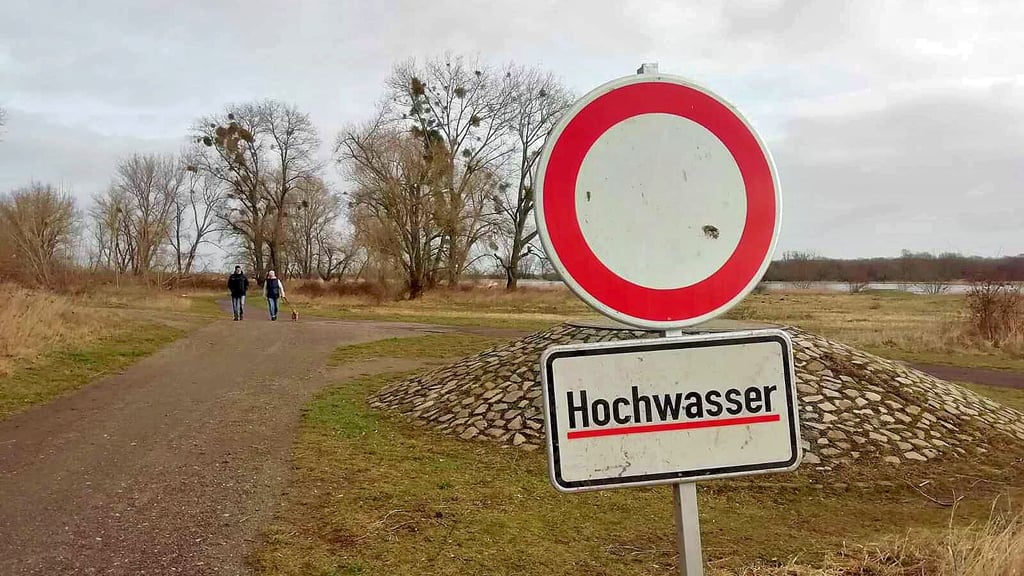 In den Magdeburger Elbauen nahe der Salbker Seen sind  Warnschilder aufgestellt worden.