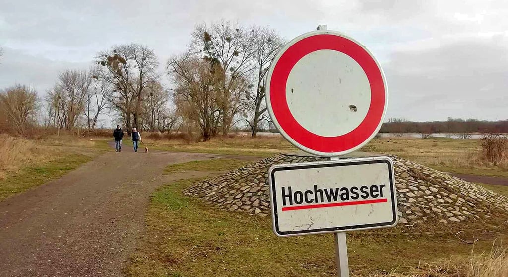 In den Magdeburger Elbauen nahe der Salbker Seen sind Warnschilder aufgestellt worden.