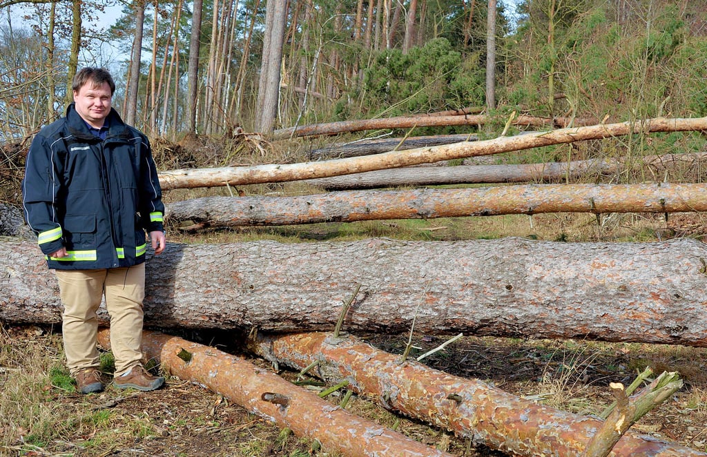 Wo ist der Weg? Etliche Bäume stapeln sich auf dem Waldweg am langen Heinrich bei Kakerbeck. Die Stadt Kalbe muss diesen schnellstmöglich freiräumen lassen, um mögliche Rettungswege freizuhalten, erklärt Jörg Kraberg vom Ordnungsamt.