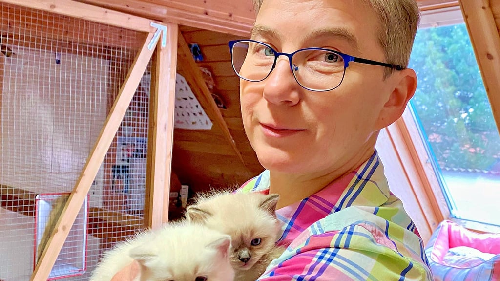 Carmen Frischbier züchtet in Erdeborn Britisch Kurzhaar- und Langhaarkatzen. Hier hält sie zwei gerade fünf Wochen alte Britisch-Kurzhaar-Kitten.