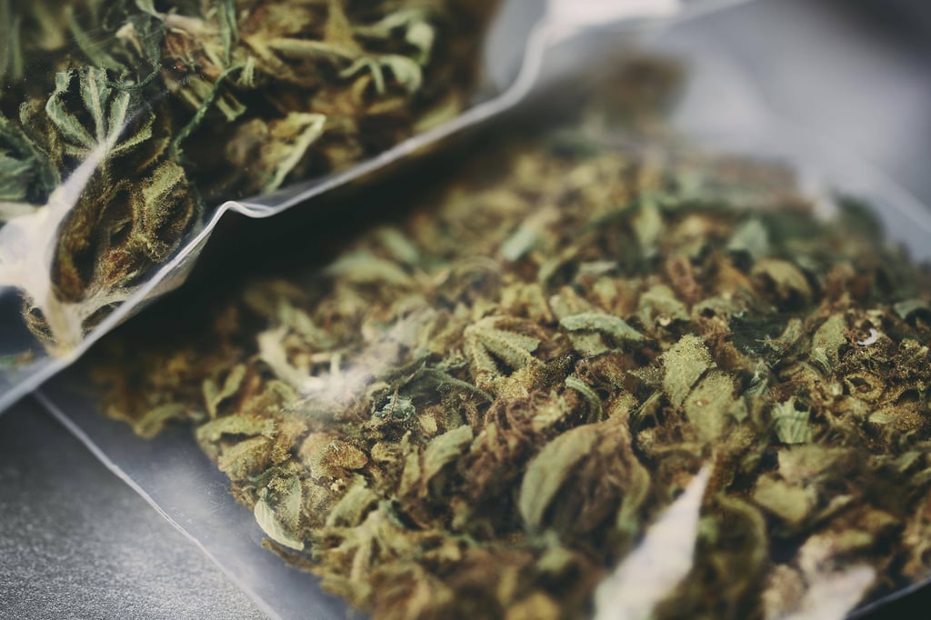 Sicher gestelltes Marihuana.