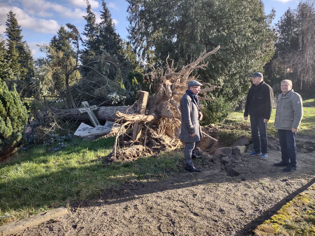 Dieser Brocken von Baum ist mitten auf ein altes Grab gestürzt. Pfarrer Teja Begrich, Holger Schulz und Ulrich Gruber (von links) tauschen sich darüber aus, was jetzt zuerst getan werden muss.