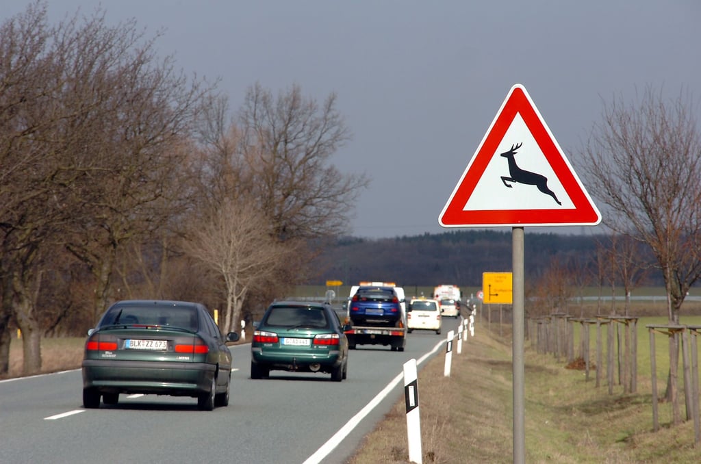 Die Bundesstraße 2 zwischen Zeitz und Giebelroth ist viel befahren.