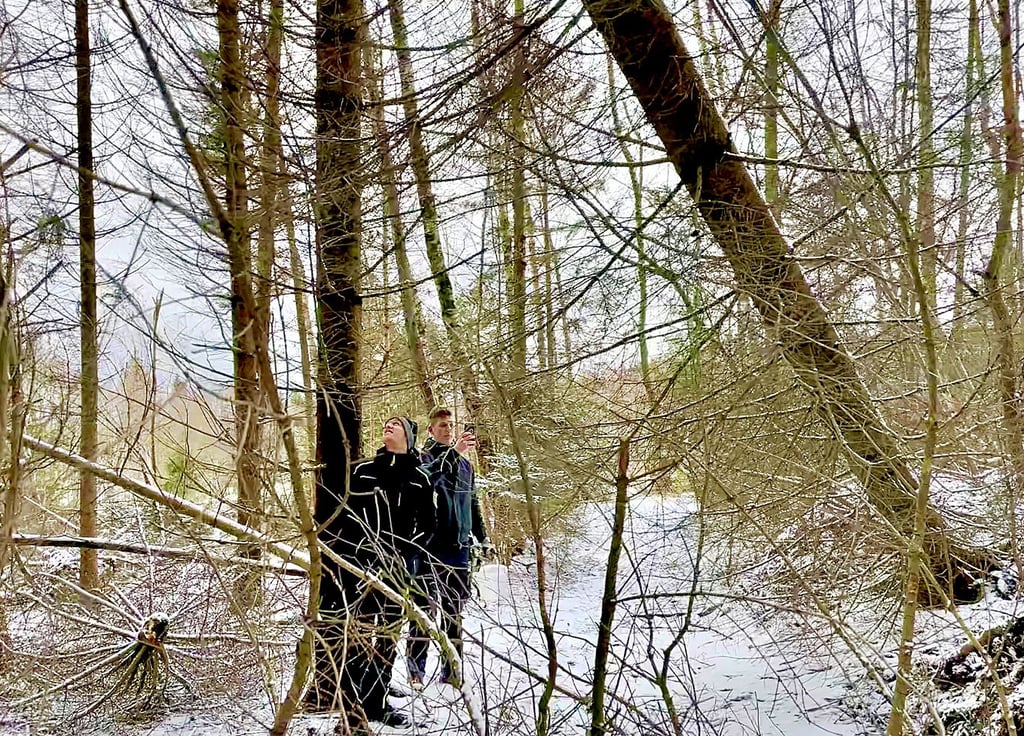 Aufgrund der jüngsten Stürme sind auch im Nationalpark Harz Bäume umgestürzt. Die beiden informieren ihren Chef über betroffene Bäume.