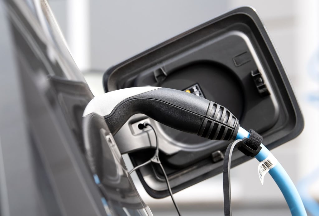 Seit 2016 wurden auf rund 965.000 Anträge hin staatliche Prämien für E-Autos ausgezahlt.