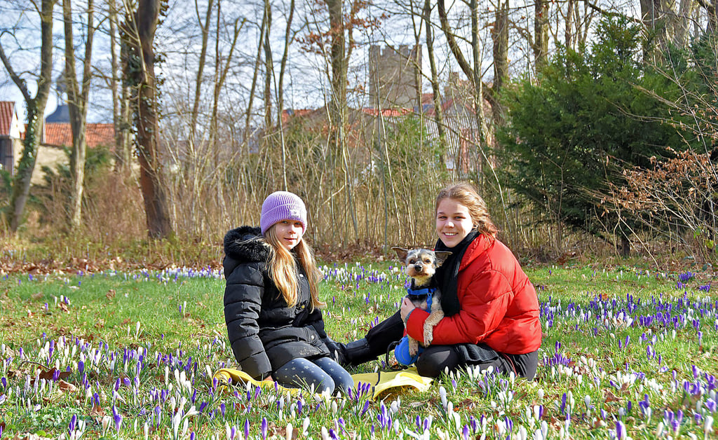 Auf einer Wiese voller Krokusse genießen Saskia mit ihrer achtjährigen Schwester Samira gemeinsam mit ihrem Hund Blackie das sonnige Wochenende im Kurort, wo die beiden Mädchen zuhause sind.