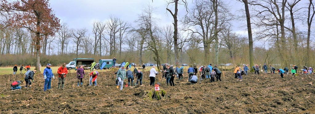 Rund 100 Teilnehmer kamen am Sonnabend zur Baumpflanzaktion des Landtages Sachsen-Anhalts in der Welrerbe-Region bei Wörlitz.