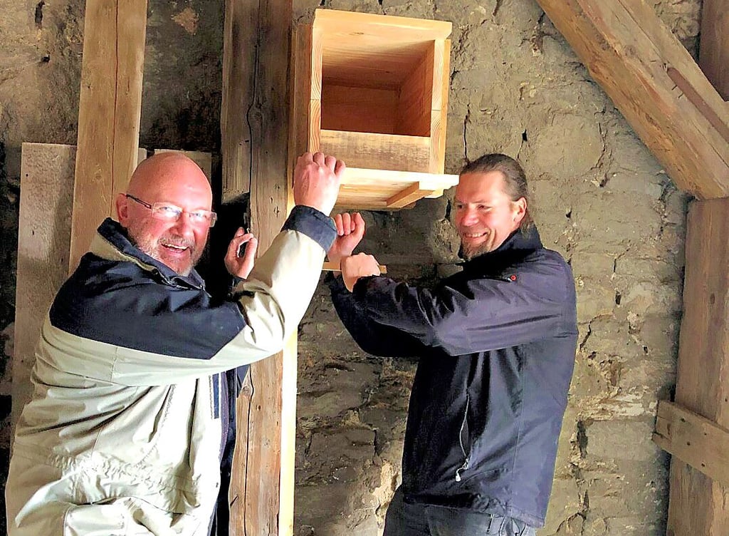 Joachim Schiemann (links) und Knut Ballhause bei der Montage der Brutkästen.