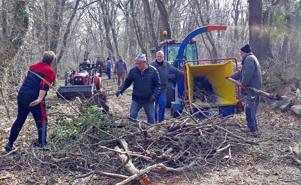 Schwere Technik, aber auch jede Menge Muskelkraft war am Sonnabend auf dem Hagen in Walbeck im Einsatz. Etwa 50 Einwohner haben an diesem Tag mit angepackt. Mit dabei auch Ortsbürgermeister Martin Herrmann (rechts).