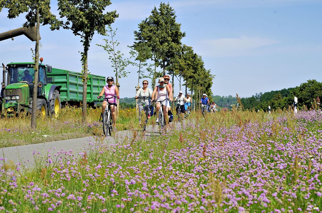 Auf dem Elberadweg gelangen Ausflügler zu den Zielen in und um Jerichow. Besuchergruppen aus ganz Europa nutzen ihn, um sich mit der Region vertraut zu machen.