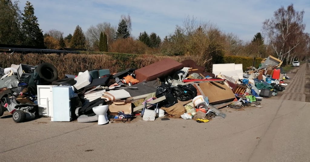 So sieht es derzeit am Kuhdamm von Salzwedel aus.
