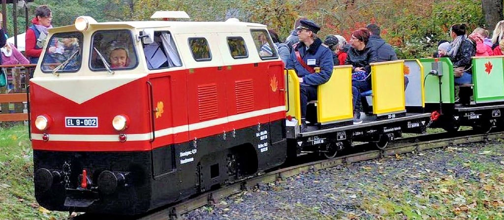 Mehr Platz für Fahrgäste: Der Zug soll um einen Wagen erweitert werden.