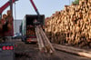 Die Preise für Holz sind im vergangenen Jahr deutlich gestiegen - besonders für Fichten.