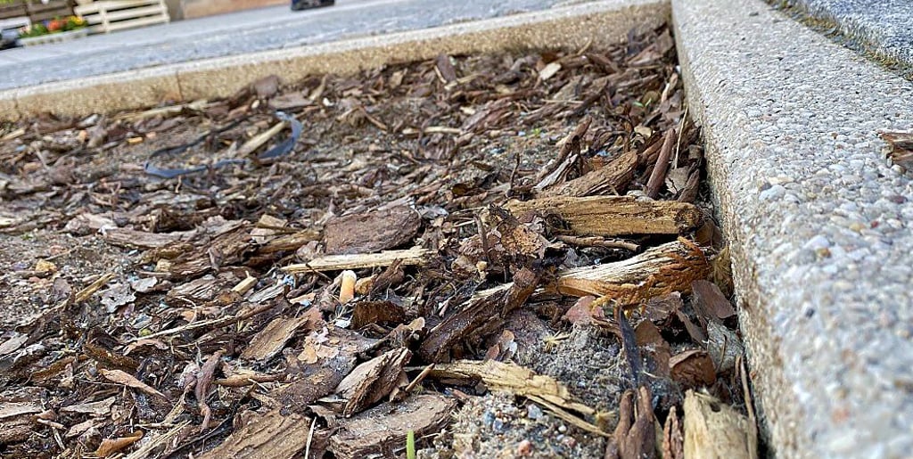 Derzeit ist es windstill, sodass der Rindenmulch in den Inselbeeten im Schadewachten in Stendal liegt.