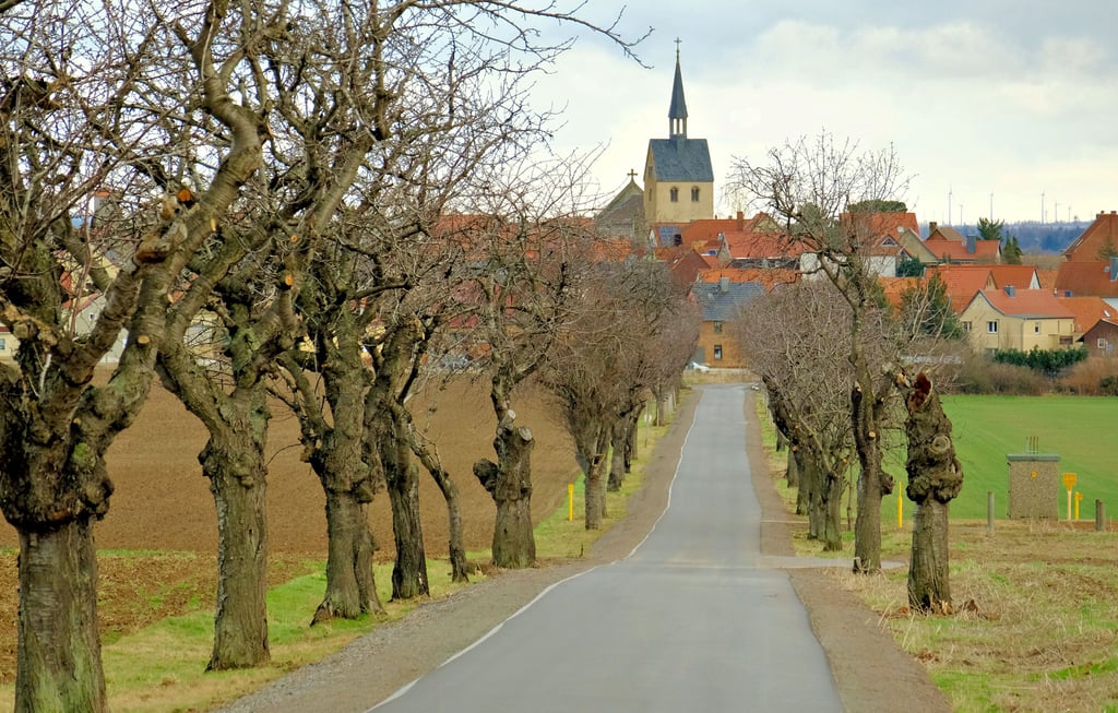 Der neue Radweg zwischen Timmenrode und Warnstedt. Er soll am Mittwoch, 9. März, offiziell eingeweiht werden.