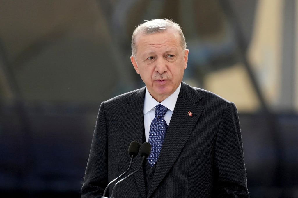Der türkische Präsident Recep Tayyip Erdogan fordert von Russland eine Waffenruhe in der Ukraine.
