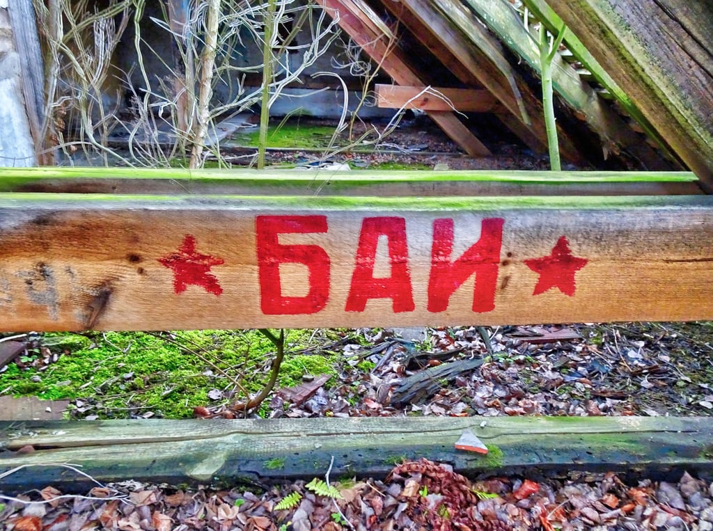 Vor 30 Jahren war die Hälfte der russischen Truppen aus Sachsen-Anhalt abgezogen. Spuren blibeen - wie hier bei Oranienbaum - bis heute. Russen abzug