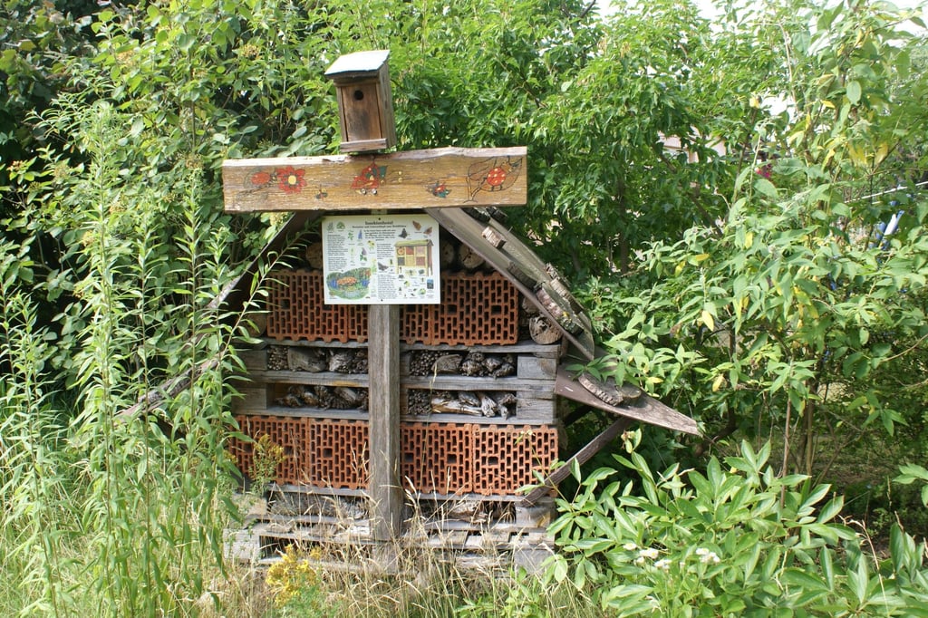 Insektenhotels tragen zum Artenschutz und zur Artenvielfalt bei. Sie helfen nützlichen Insekten beim Nisten und Überwintern.