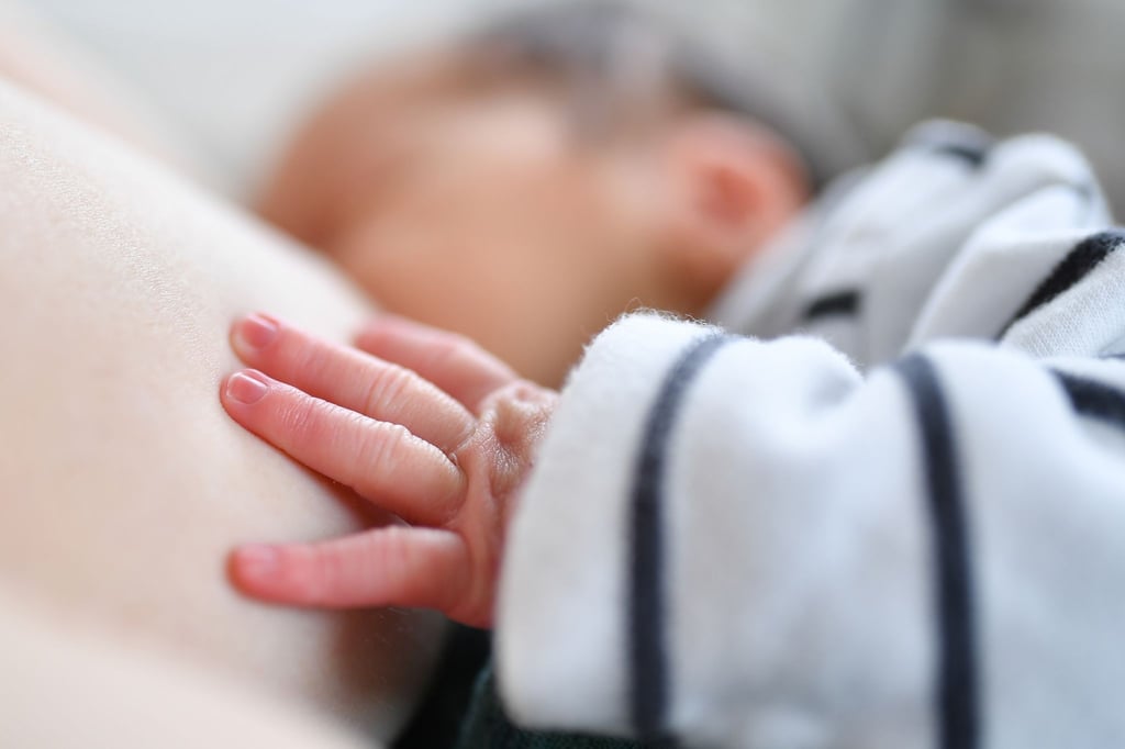 Rohe oder halbgare Lebensmittel, die während der Schwangerschaft tabu sind, können Mütter während der Stillzeit wieder essen. Salmonellen oder eine Toxoplasmose können Babys dann nichts mehr anhaben.