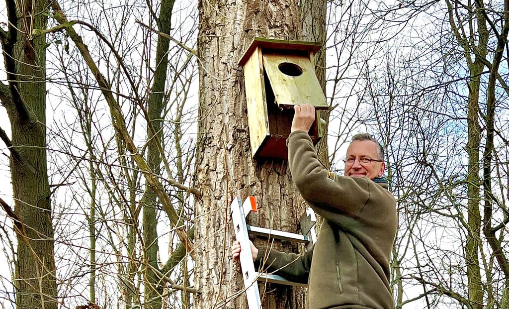 Der Vereinsvorsitzende der Köthener Ornithologen, Andreas Rößler, kontrolliert einen Nistkasten in der Nähe des Neolithteiches.