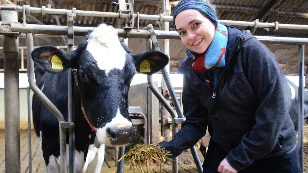 Crowdfarming Käse von Kuh Hilla in Wiepke