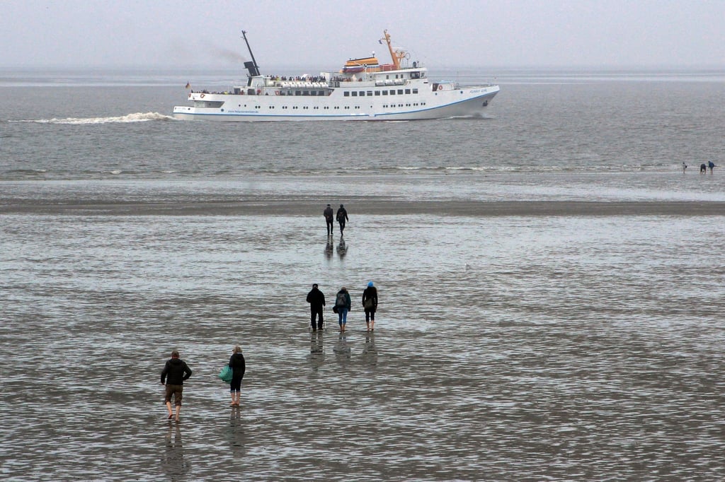 Wattwanderer sind bei Ebbe an der Küste unterwegs, im Hintergrund fährt das Ausflugsschiff „Funny Girl“ nach Helgoland.