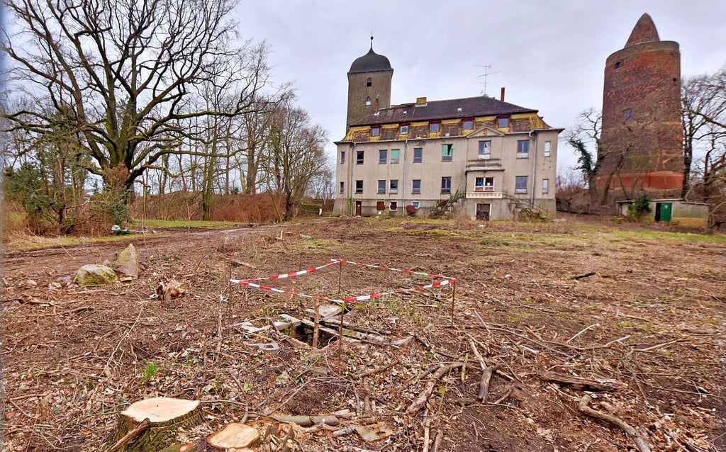 Solch einen freien Blick auf das Schloss hat es in Pouch lange nicht gegeben. Die Eigentümer haben in Abstimmung mit Behörden Bäume gefällt.