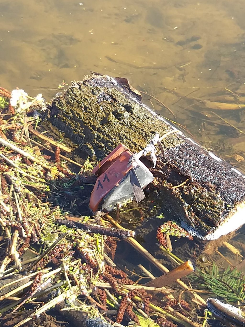 Fundsituation des an einem Holzstück befestigten Senders,