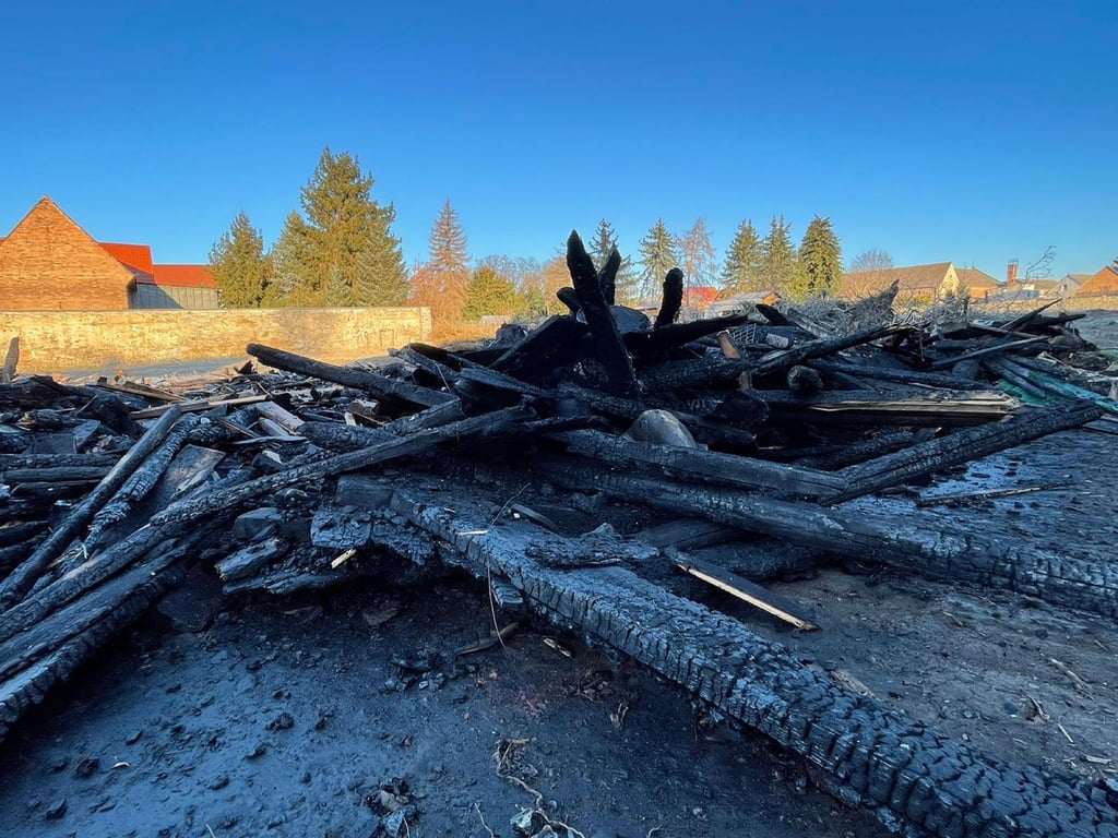 Ein Holzhaufen, mit einer Fläche von etwa 50 Quadratmetern, ist in der Nacht zu Mittwoch in Flammen aufgegangen.