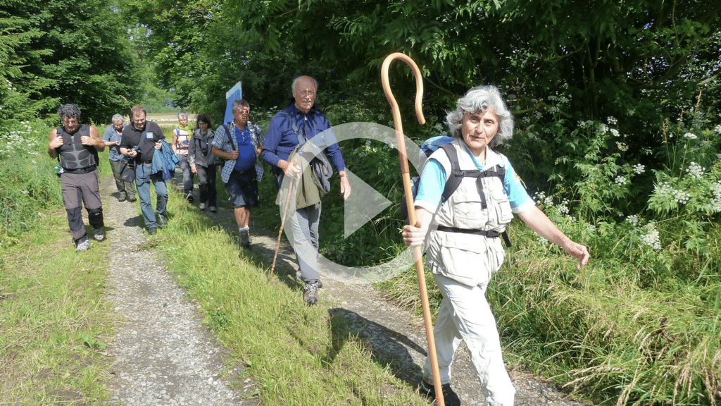 Eine Gruppe von Pilger zieht durch den Harz. Seit dem Jahr 2020 gibt es sogar eine vom Europarat zertifizierte Kulturroute, auf der Pilger ungefähr 100 Kilometer im Harz entlangwandern können.