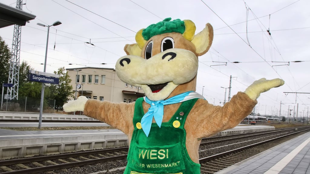 Archivbild vom Wiesi
