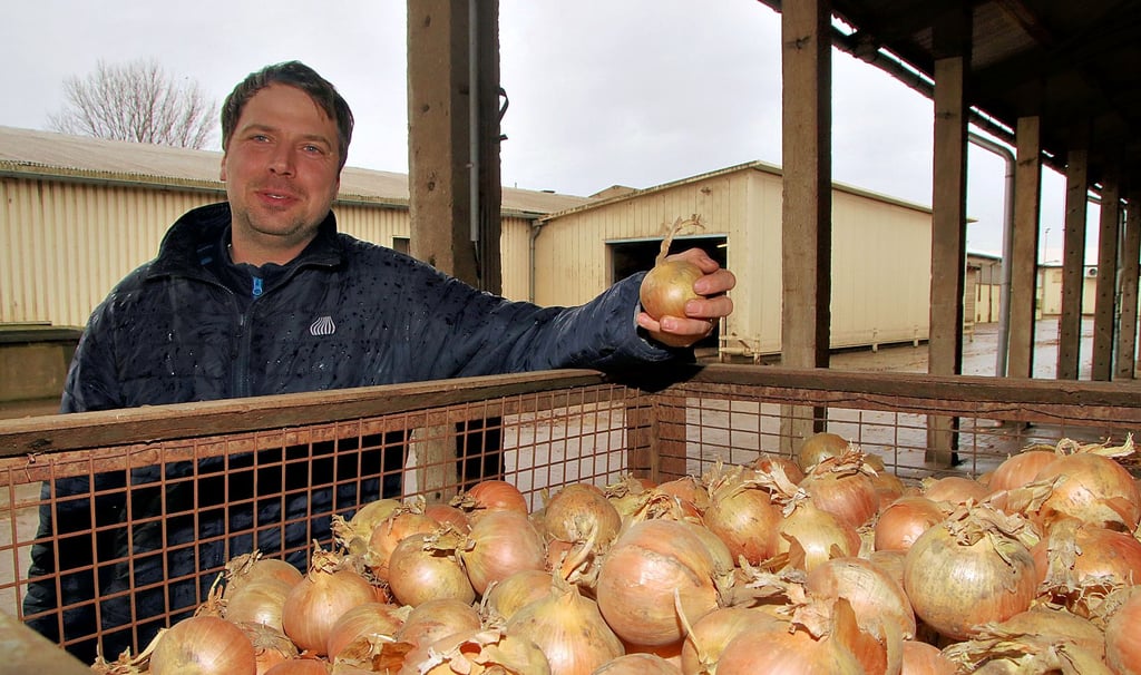 Heiko Brandt hat mit seinen Mitarbeitern mit der Aussaat der Zwiebeln auf den Feldern rund um Calbe begonnen. Das trockene und warme Wetter wollen sie nutzen.