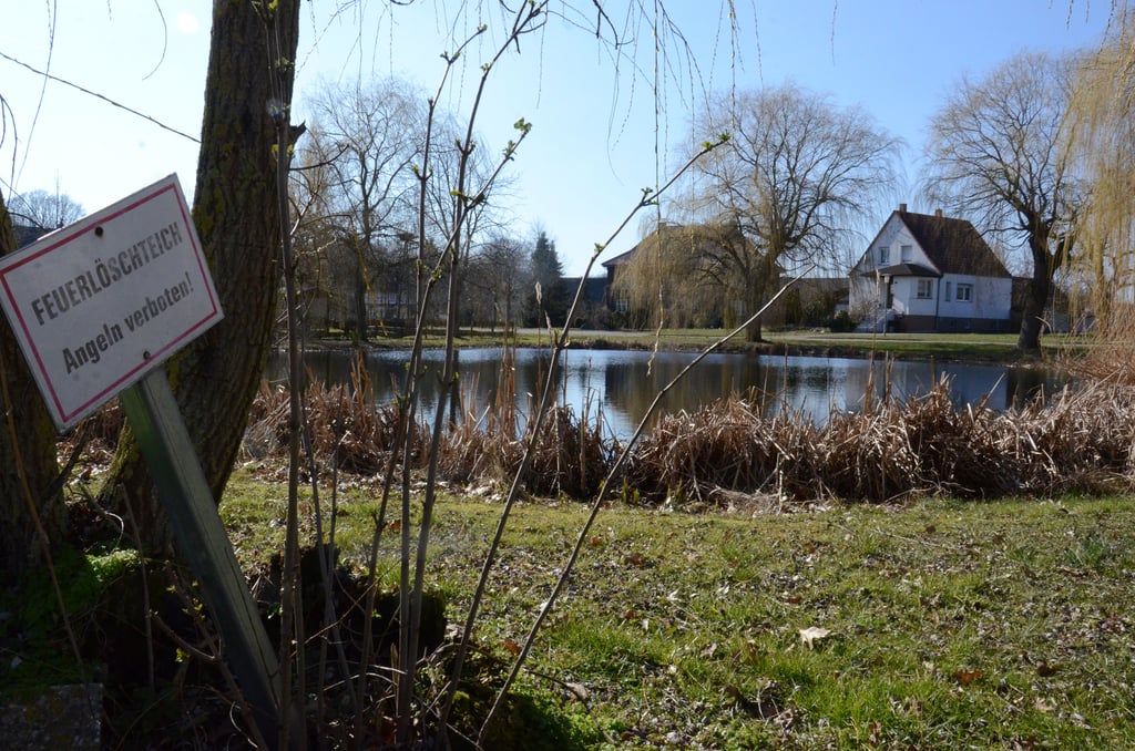 Ein Schild weist noch darauf hin, dass es sich beim Dorfteich in Cheinitz um einen Feuerlöschteich handelt. Doch das Saugrohr droht sich mit Pflanzen zuzusetzen, sollte es ins stark bewachsene Gewässer gelassen werden.