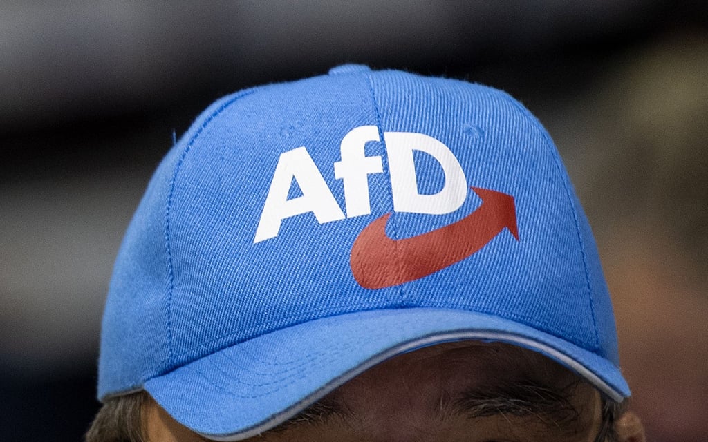 "Wenig außenpolitisches Profil" habe die AfD, sagt der Experte Thomas Kliche von der Hochschule Magdeburg-Stendal.