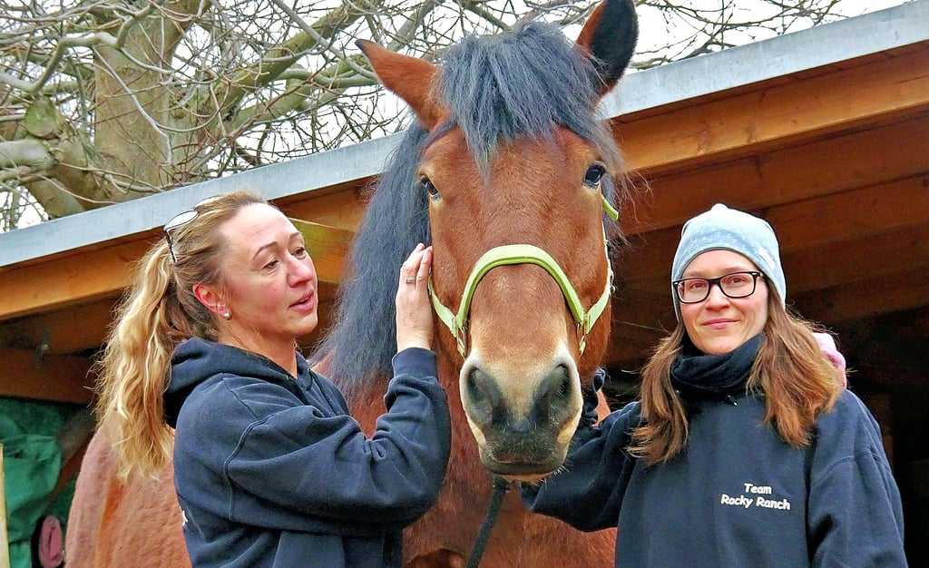 Antje Rockendorf (l.) und Annika Henze mit Kaltblüter Otto