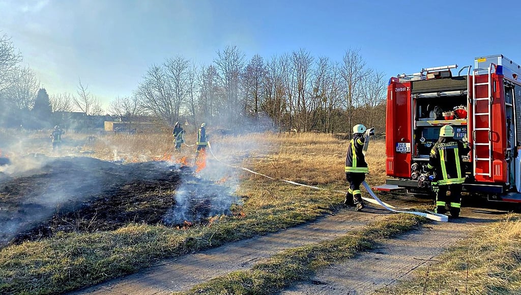Die Zerbster Feuerwehr musste am Mittwoch den ersten Ödlandbrand 2022 in der Marcellstraße löschen.