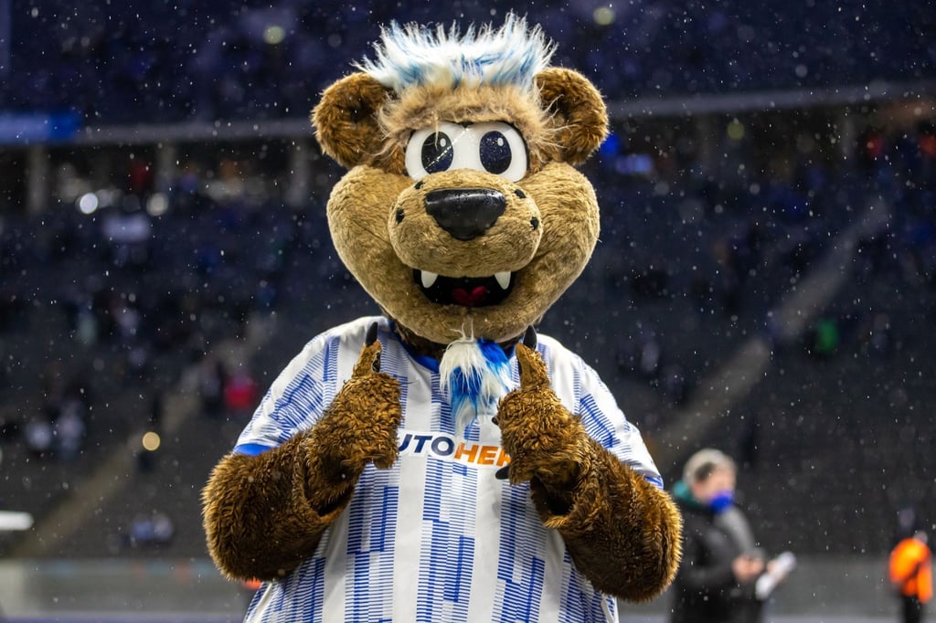 Hertha-Maskottchen Herthinho.