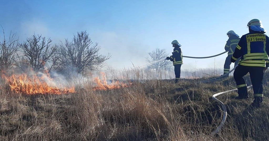 Eine Stunde lang löschten 14 Kameraden den Ödlandbrand.