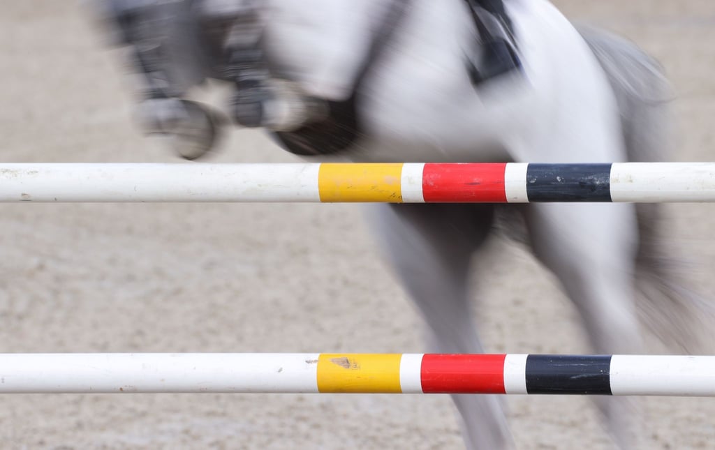 Das Pferd eines Springreiters ist hinter einem Hindernis zu sehen.