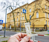 Auch die Grundschule „Franz Mehring“ in Bernburg ist derzeit stark vom Coronavirus betroffen. 