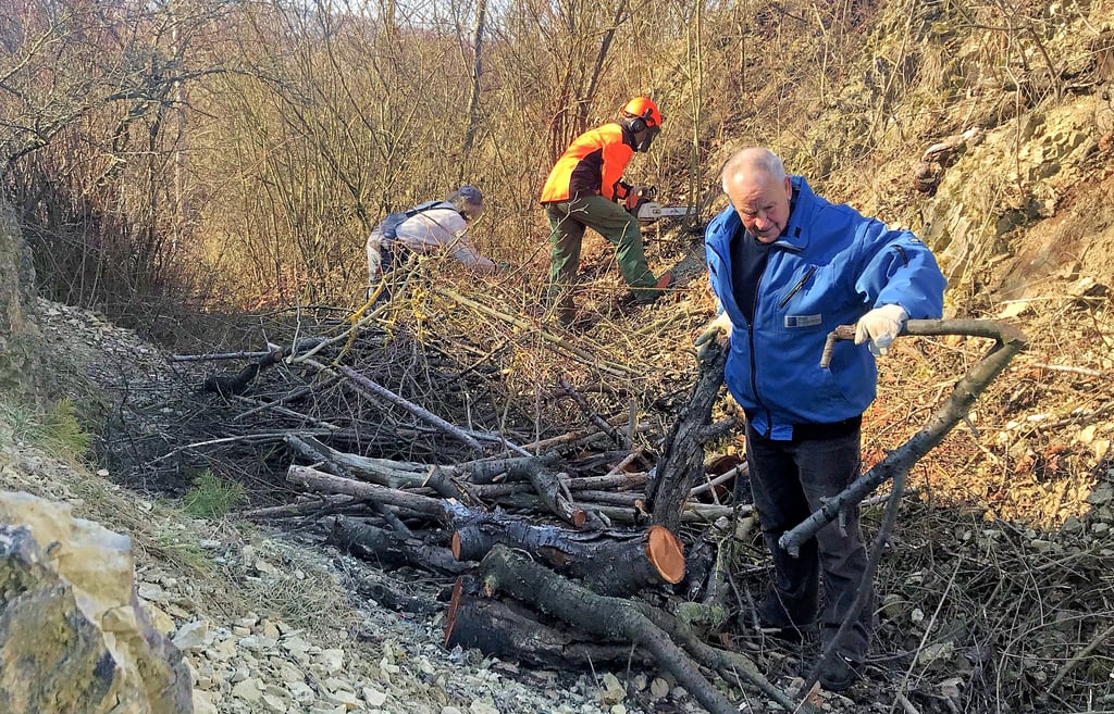 Naturwacht Thale und Ortschronisten mit Freiwilligen beim Freischneiden des Weges.
