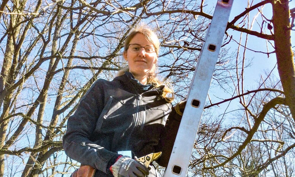 Antje Kropf ist beim Obstbaumschnitt am Georgium in ihrem Element.