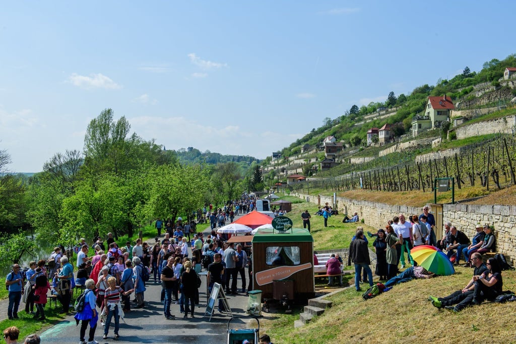 Nach zwei Jahren Corona-Pause soll am 1. Mai der Weinfrühling wieder in Freyburg stattfinden.