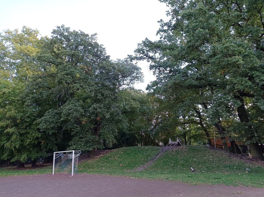 Der Bolzplatz an der Grundschule in Biederitz ist in keinem guten Zustand. Das könnte sich jetzt ändern.