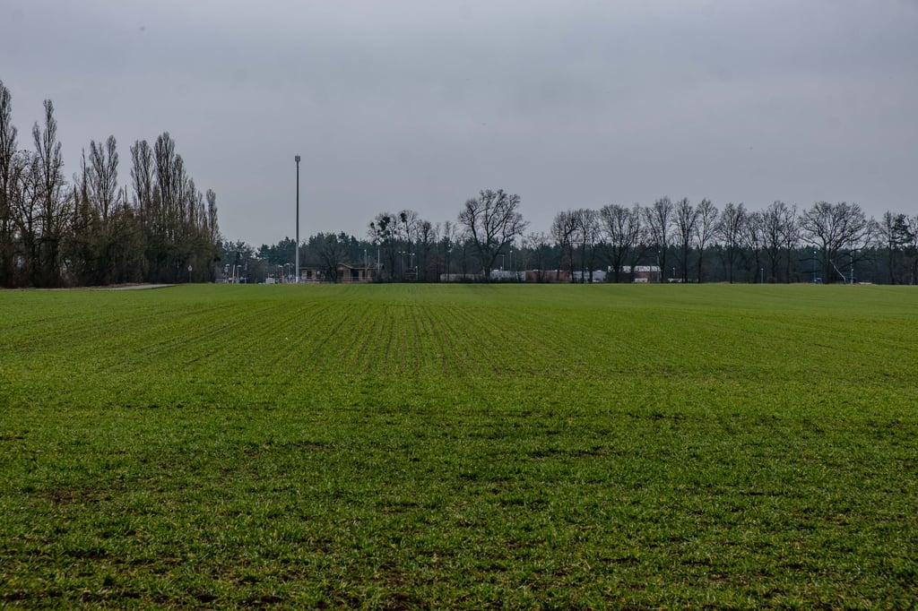 Auf dieser Kliekener Ackerfläche an der Windmühlenbreite soll eine fast 50 Hektar große Photovoltaikanlage entstehen.
