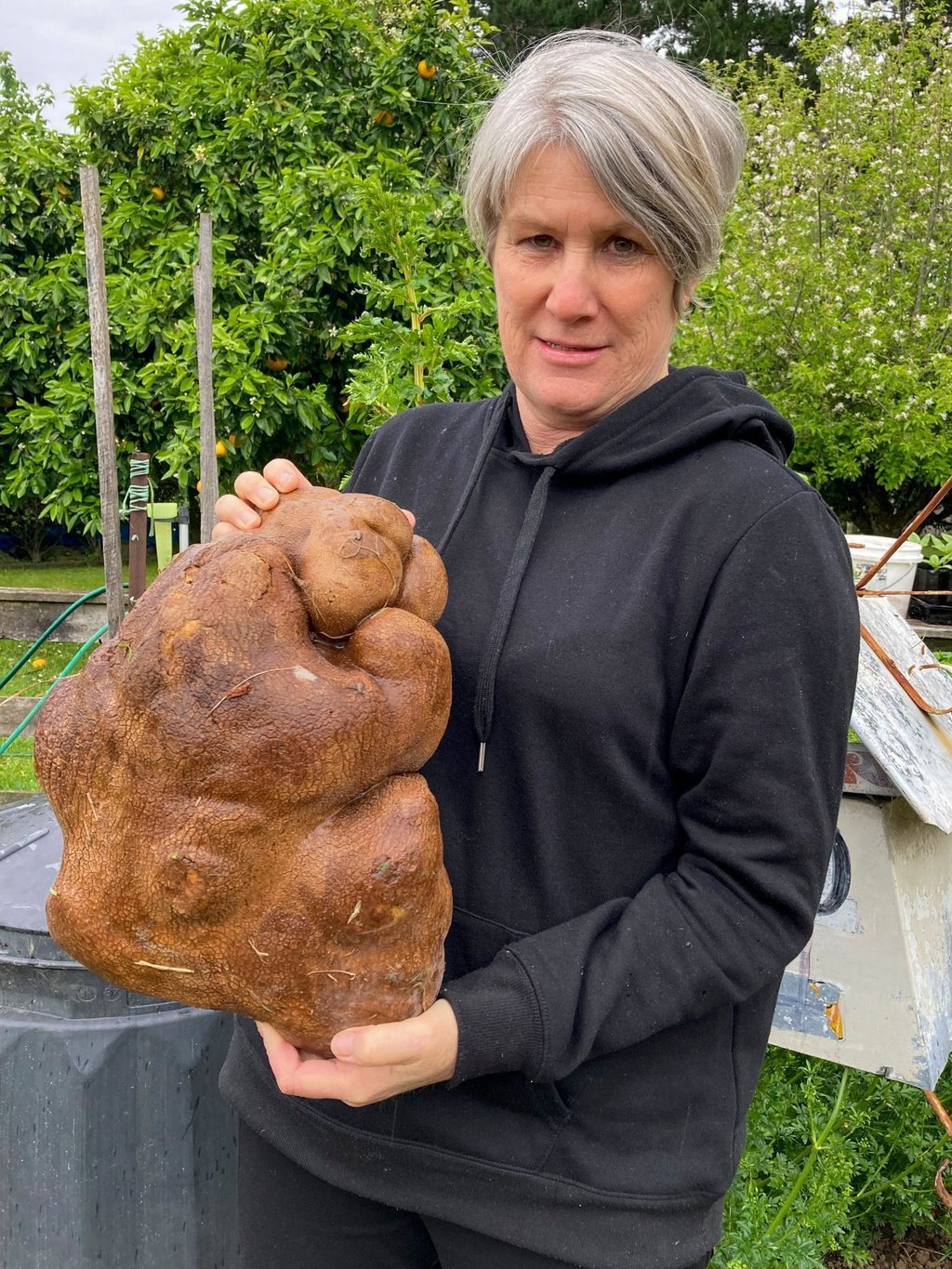 Donna Craig-Brown hält „Dug“ (zunächst hieß sie "Doug"), die vermeintlich größte Kartoffel der Welt, im Garten ihrer kleinen Farm hoch.