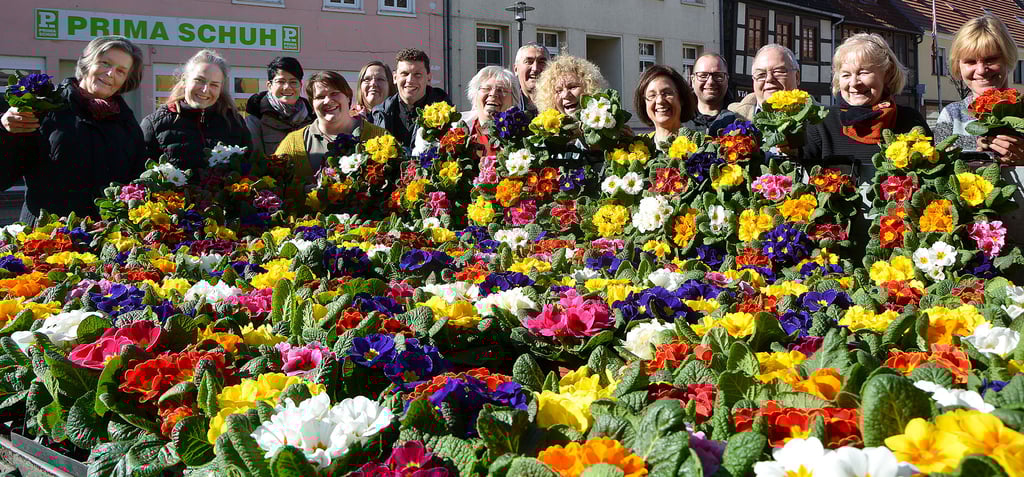 Fast sieht man die Seehäuser Einzelhändler vor lauter Primeln nicht. Die Aktion „Rausprimeln“ bringt Farbe in die Innenstadt.